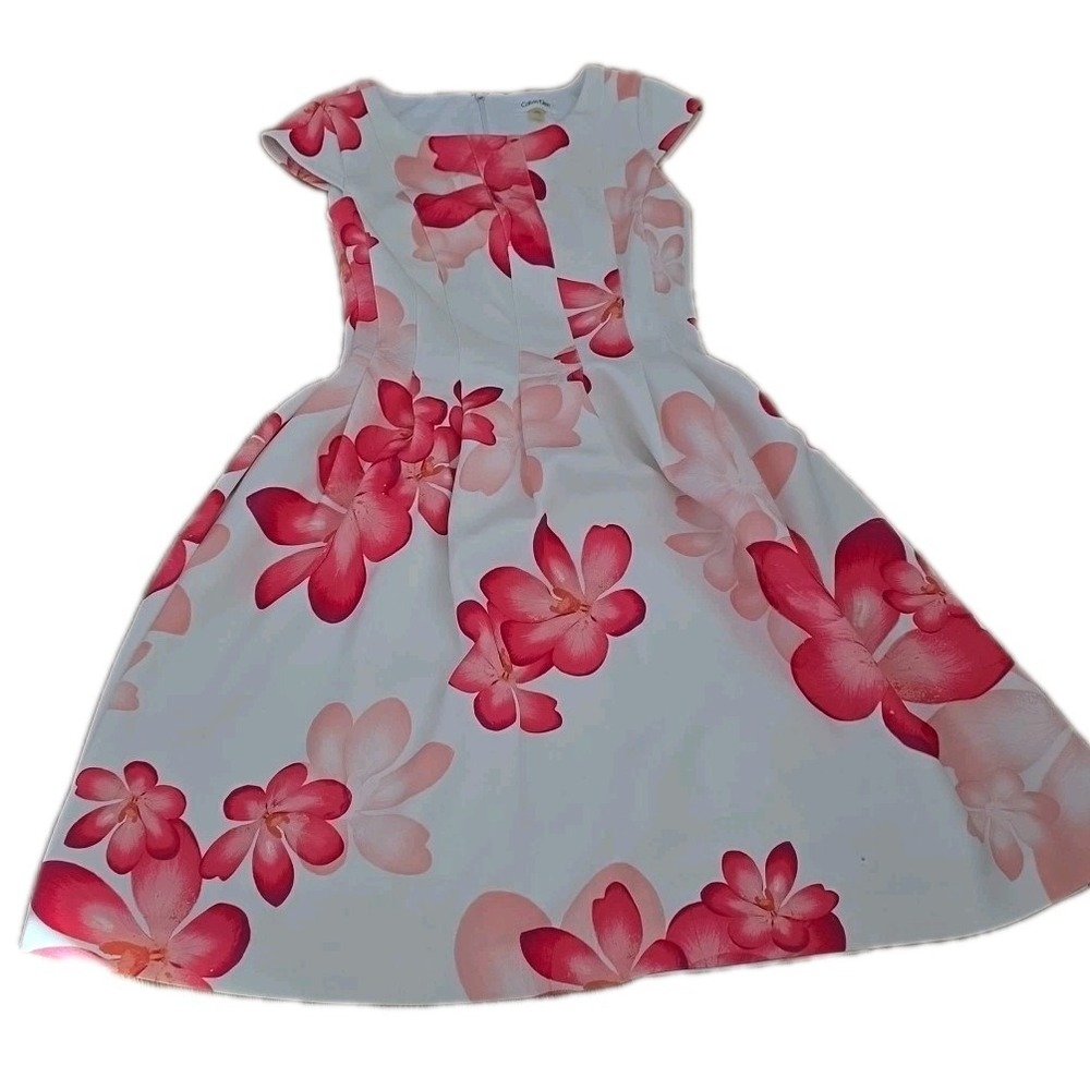 Calvin Klein Women's Sleeveless Floral A-Line Dress Pink Floral Fit & Flare Sz 4